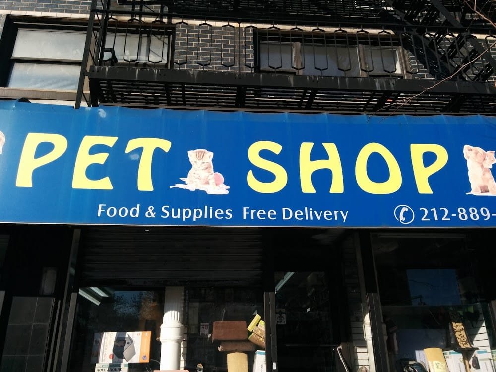 happy-feet-pet-shop-ii-AF1QipNRTkR5bIbVekB-6U4j5IqrdIHVj9aiaIJzzuzy